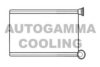 AUTOGAMMA 107466 Heat Exchanger, interior heating